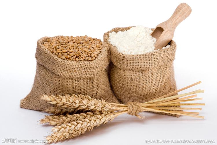 加工销售小麦面粉麸皮加工销售